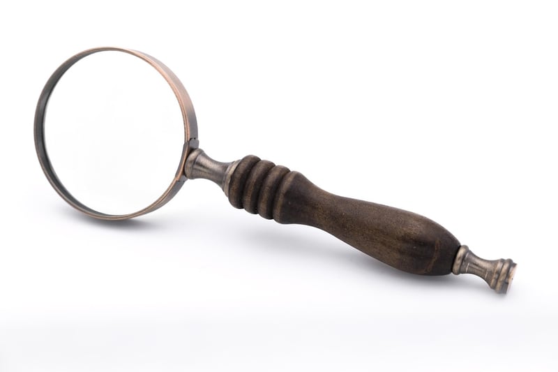 Magnifying Glass Sleuthing